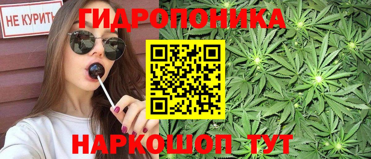 Конопля сатива Новошахтинск